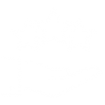 apartment moving service